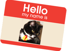 Hello_my_name_is_cat.png