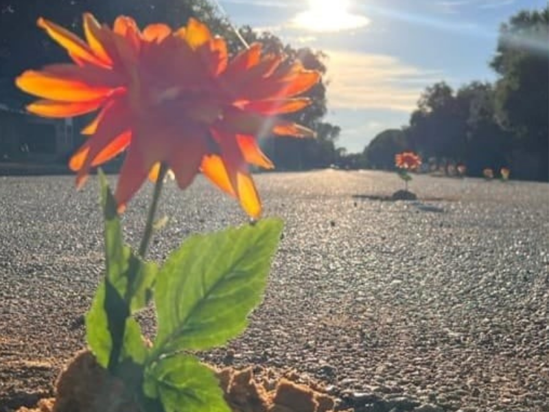 Who knew potholes could make anyone smile this much...