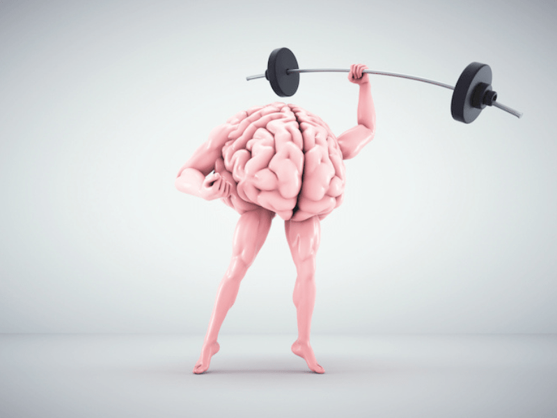 Human brain exercising