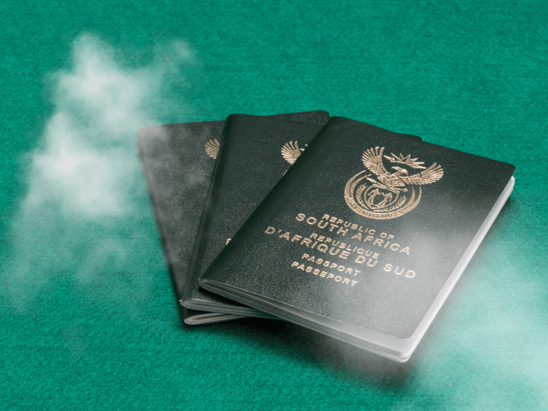 SA's green ID book vanish