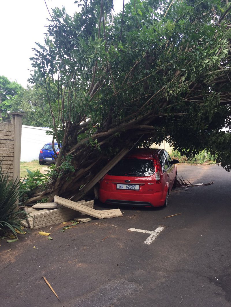 damaged car by storm