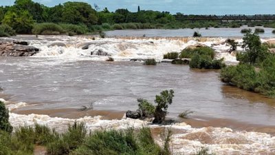 Search underway for missing Ekurhuleni MMC after floods in Mozambique