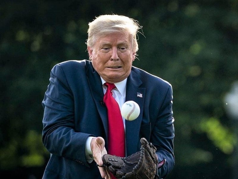 Donald Trump accident baseball