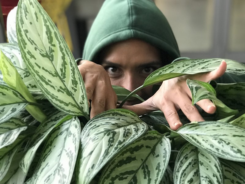Stacey hiding