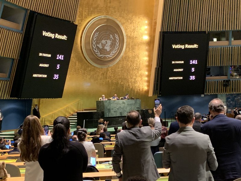 UN General Assembly