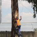 City Power worker