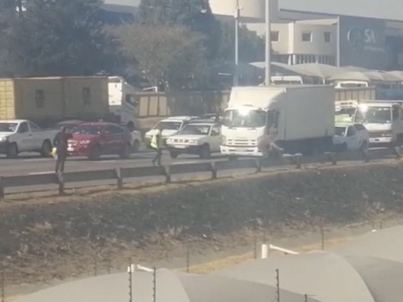 Ducks on highway breakfast