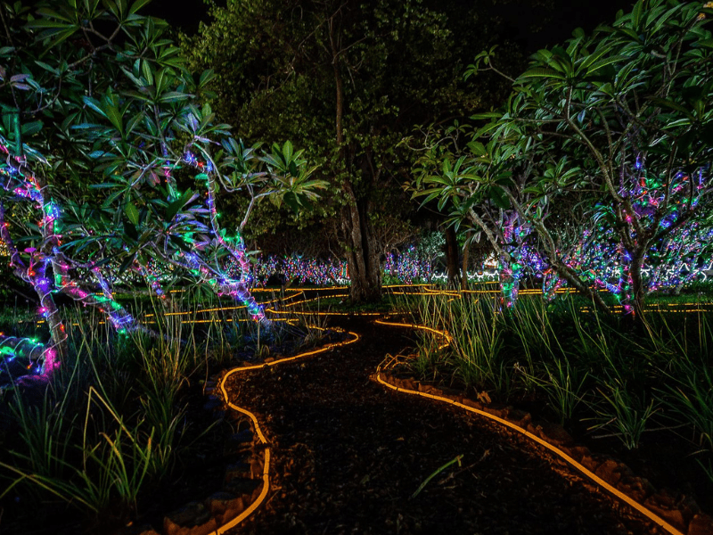Follow the Trail of Lights