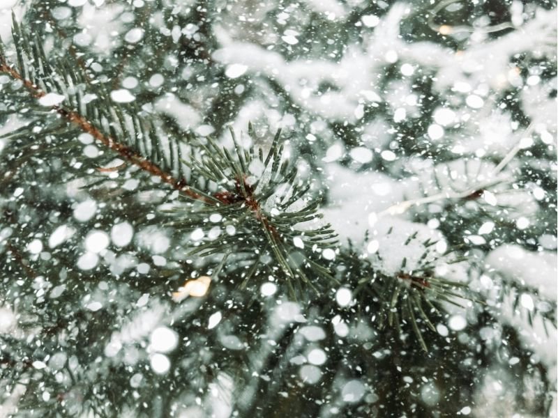 Snow