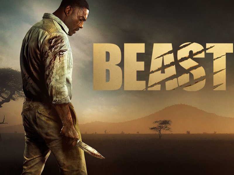 WATCH: Idris Elba stars in this African safari, J Sbu reacts
