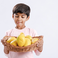 Indian boy holding a basket full of mangoes