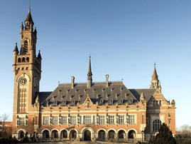International Court of Justice (ICJ)