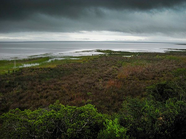 Rain brings needed relief to Isimangaliso