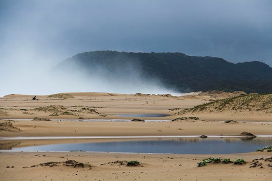 Rain brings needed relief to Isimangaliso