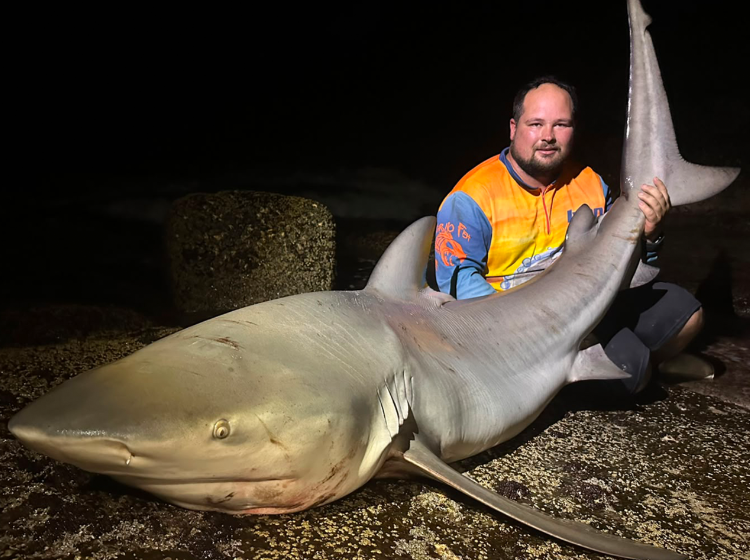 Ivan Kotze with a Zambezi shark caught down the South Coast during the sardine feeding frenzy