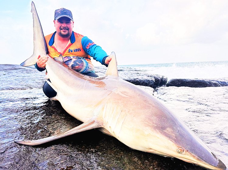 Ivan Kotze with a personal best blacktip shark caught down south