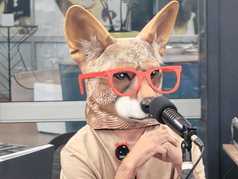 JAKKALS VIBES FRIDAY LIVE COVER