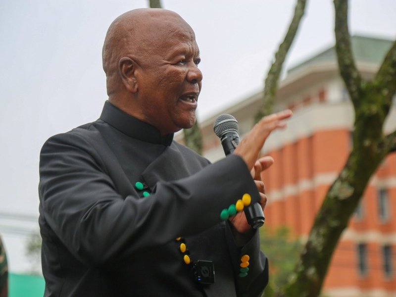Convenor of the ANC in KwaZulu-Natal Jeff Radebe