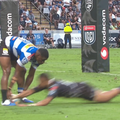Jaco Williams Try Stormers