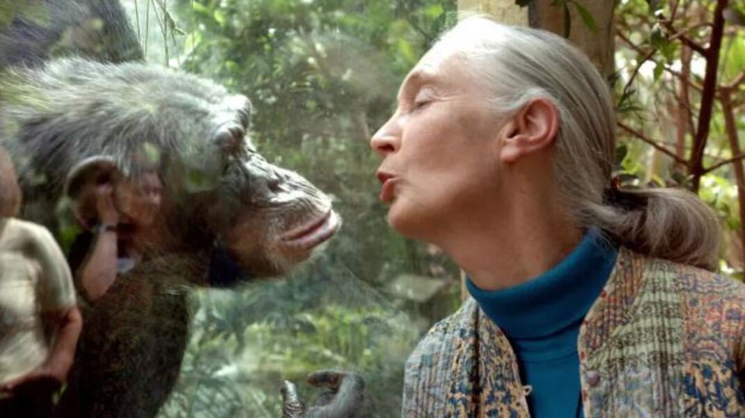 Jane Goodall