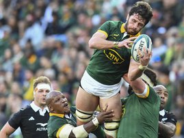 Springbok No 8 Jasper Wiese