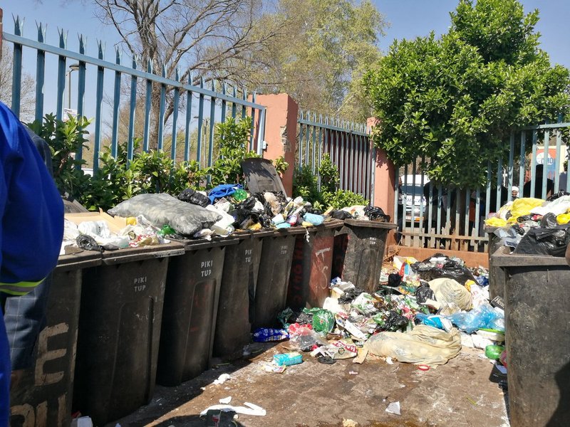 Johannesburg litter