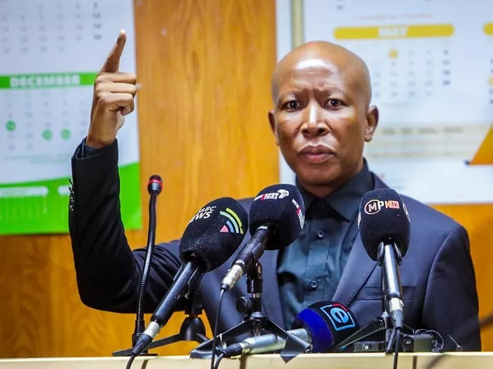 Julius Malema in court 2