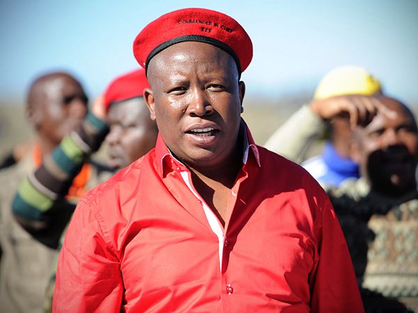 EFF Julius Malema