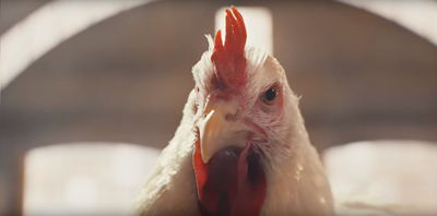 Chicken sneaks through Pentagon security