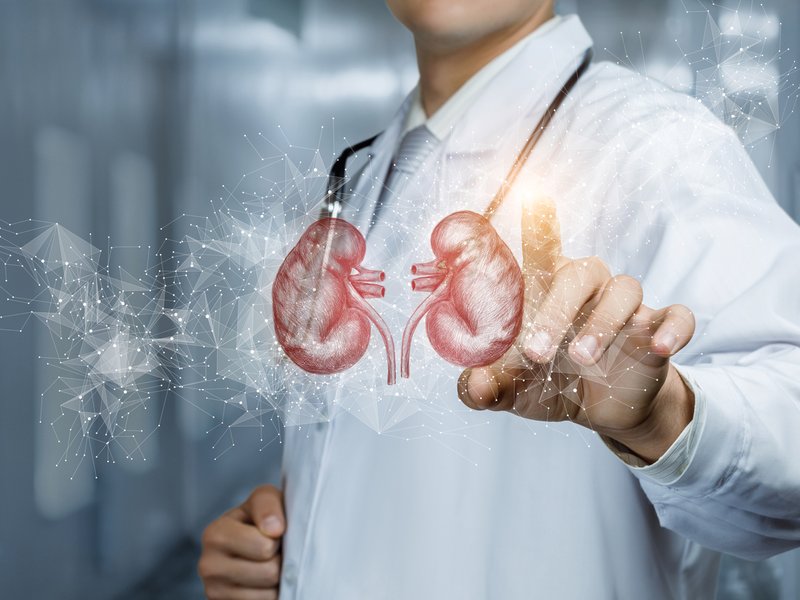 Kidney disease