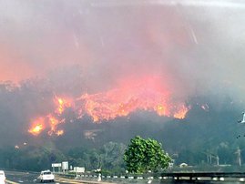 Knysna-fire-2 image fire burn