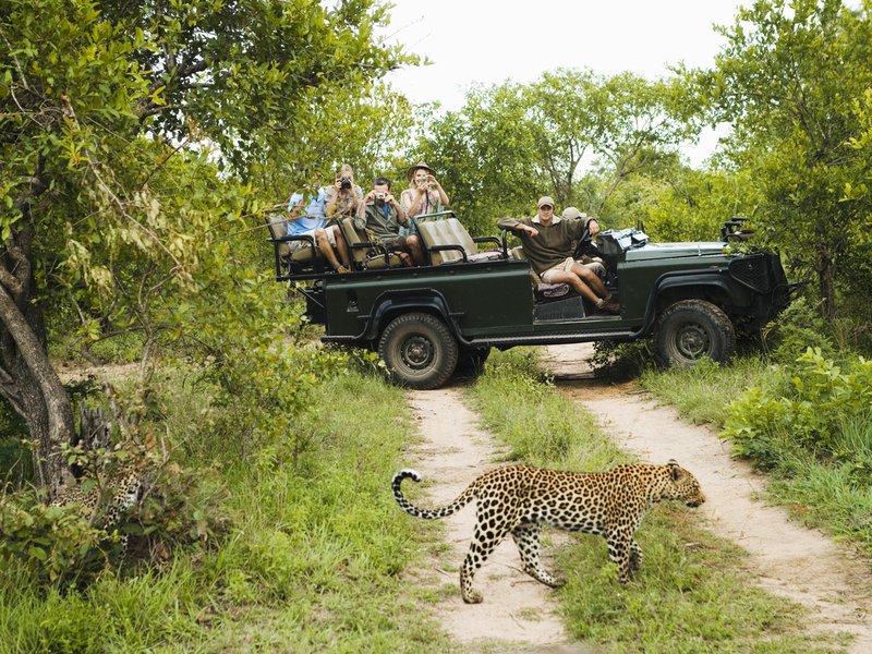 Kruger National Park