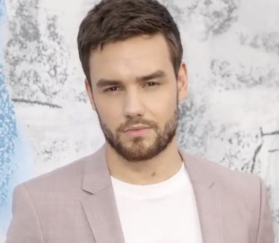 One Direction star took cocaine, alcohol, antidepressant bef