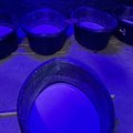 LIMPOPO DRUG BUST SAPS