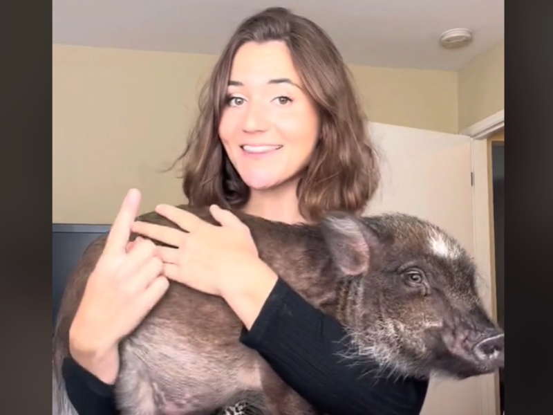 Lady holding a pig in her arms