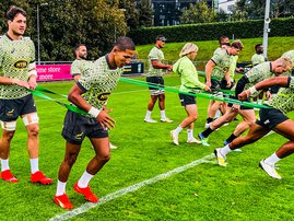 Springboks Libbok