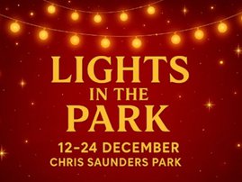Lights in the Park