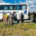 Limpopo Bus from Malawi