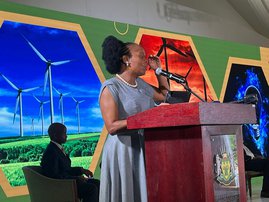 Phophi Ramathuba, Limpopo Premier