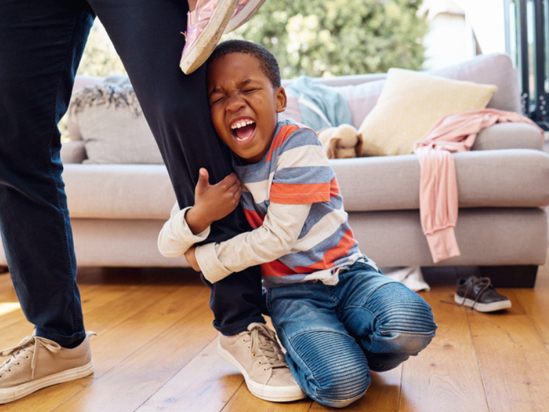 Little boy throwing a tantrum while holding his parents leg