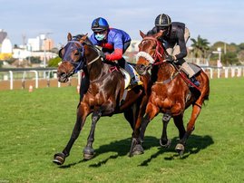 Lyle Hewitson