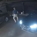 MAN BARKING LIKE DOG AT THIEVES