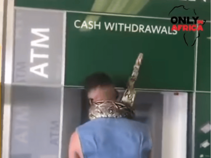 MAN DRAWS MONEY WITH SNAKE AROUND NECK