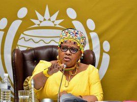 Mapisa-Nqakula denies dismissing Mkhwebane meeting request