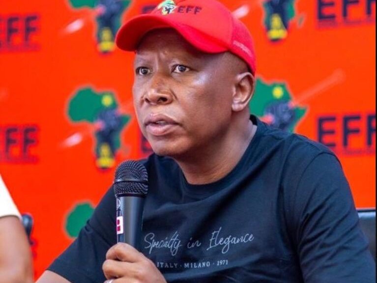 Malema mic.jpg