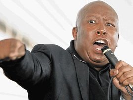 Malema+xgold+2013+.jpg
