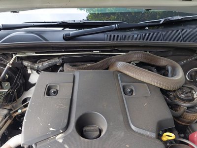 Mamba in a Hilux! Westville family finds sneaky surprise in bakkie - Vimarsana News