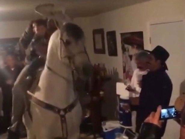 Man-brings-horse-to-house-party.jpg