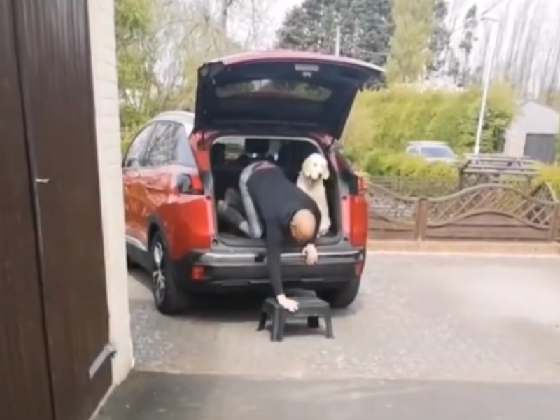 Man climbing out of the car like a dog