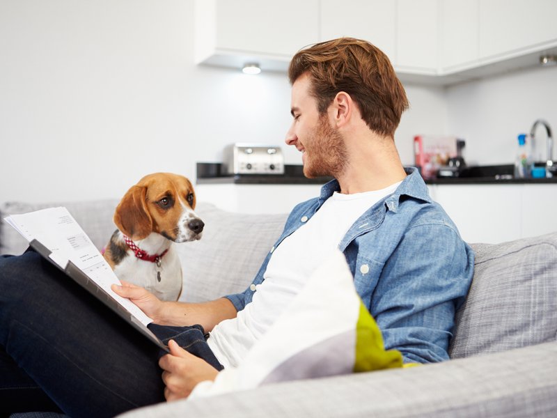 Man playing with dog at home